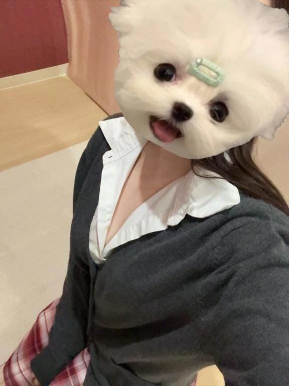 「るなしすのお兄さん♡」12/05(金) 01:12 | 体験入店 さきの写メ