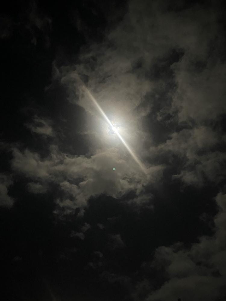 「⊂(ᴑ╹.╹ᴑ)੭💌」12/05(金) 01:40 | セレナの写メ