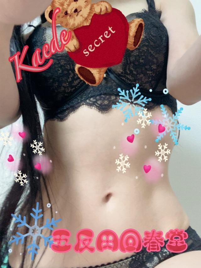 「そんな時期かも」12/05(金) 16:34 | 楓-かえで-の写メ