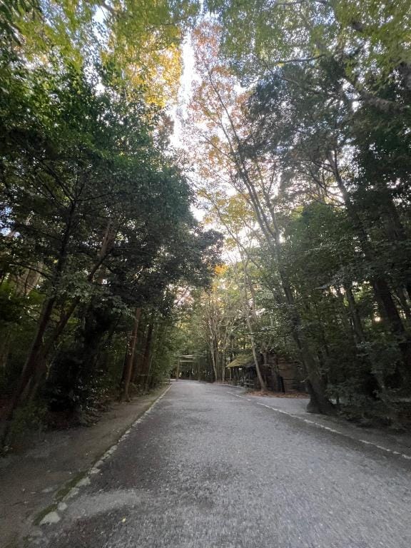 「もしかして…！？」12/05(金) 22:21 | Gの未体験衝撃『あおい』の写メ