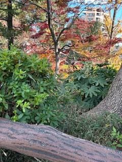 「こんにちわ」12/07(日) 11:00 | さゆりの写メ