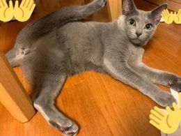 火曜日は事前予約のみ出勤です!