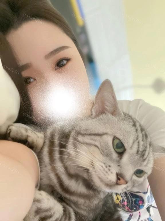 ネコになりたい