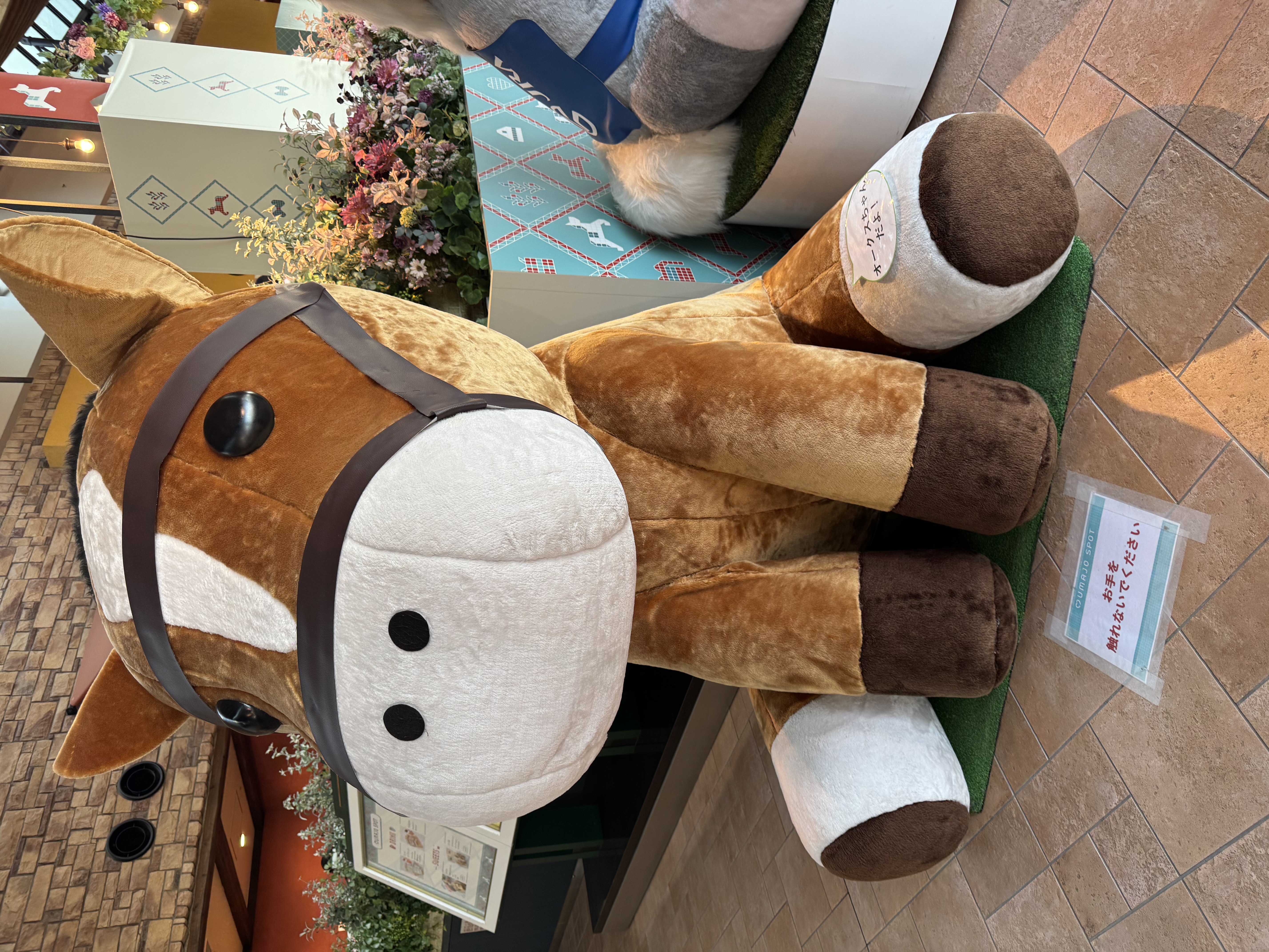 No31 峰山「No.31 峰山」12/07(日) 15:18 | No31 峰山の写メ