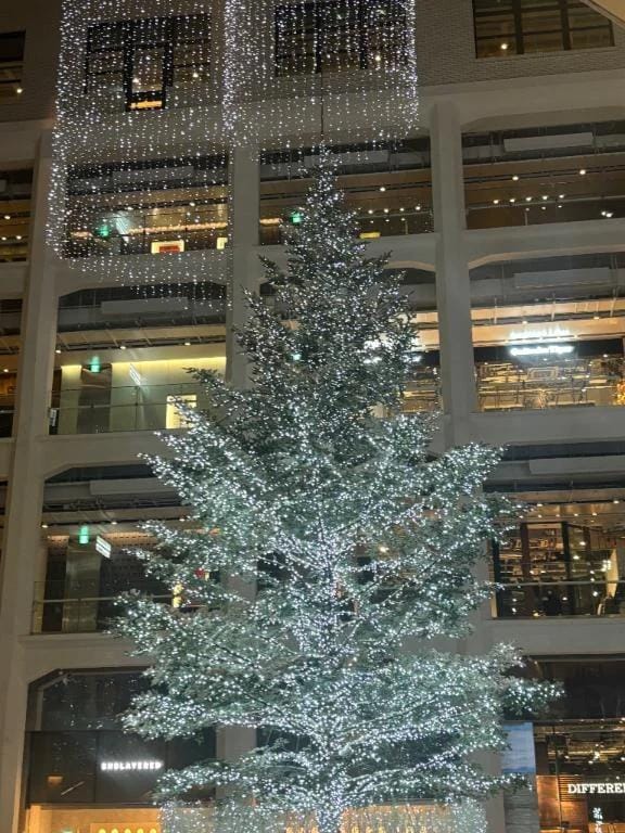 「冬時たて☃❄」12/07(日) 16:05 | アヤカの写メ