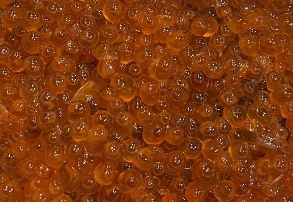 「ふざけた写メでごめんねー」12/07(日) 21:42 | くるちゃんの写メ