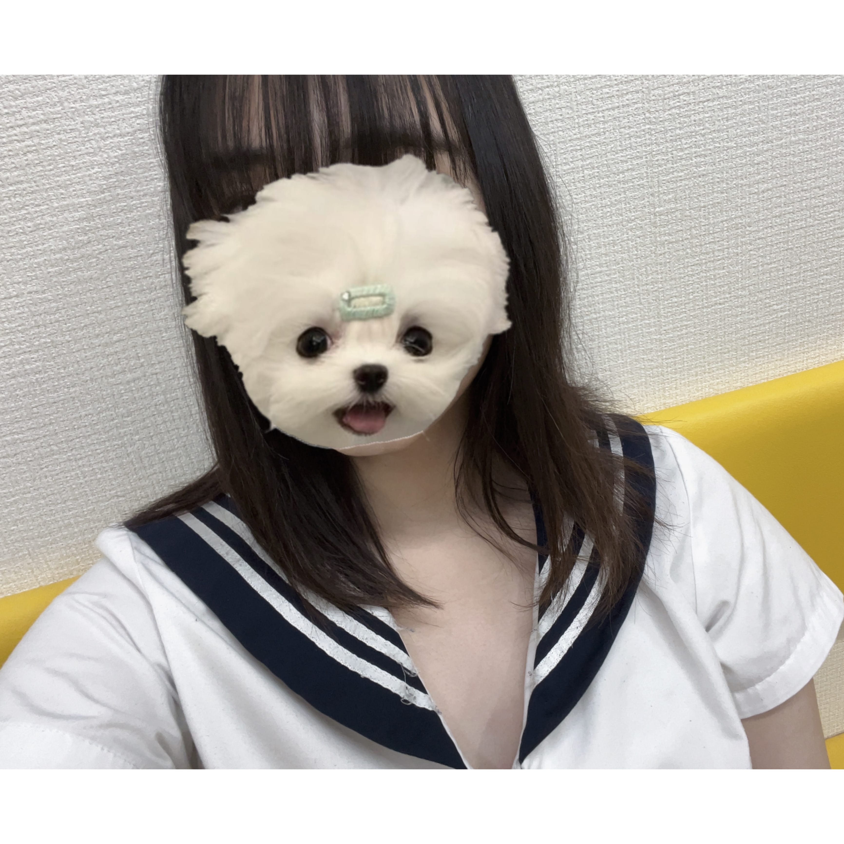 「22時まで出勤です！」12/08(月) 13:26 | No.47:秋田の写メ