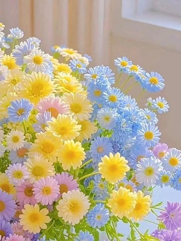 「完売❁⃘*.ﾟ」12/09(火) 00:26 | 芹奈【セリナ】の写メ日記