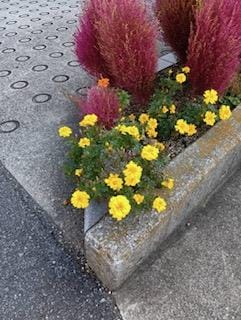 「こんにちわ」12/09(火) 11:01 | さゆりの写メ