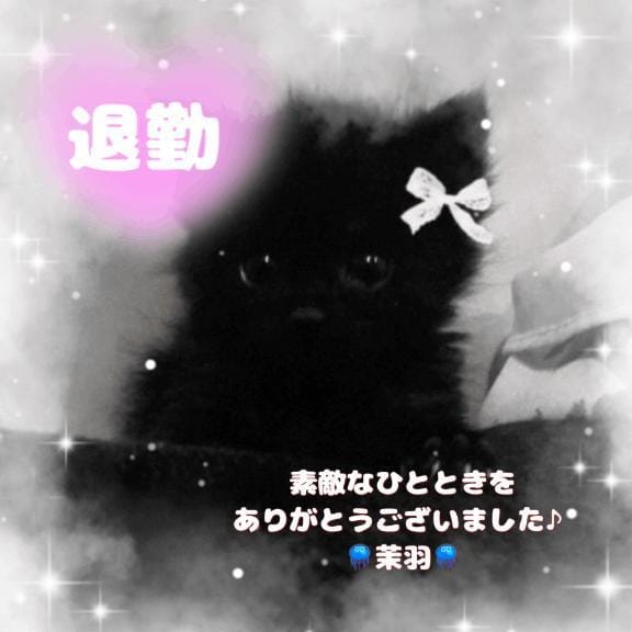 茉羽【まう】STANDARD「退勤‍⋆꙳」12/10(水) 01:03 | 茉羽【まう】STANDARDの写メ