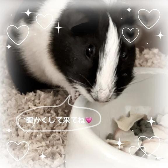 「ほわほわぁん」12/10(水) 06:59 | ひなの写メ