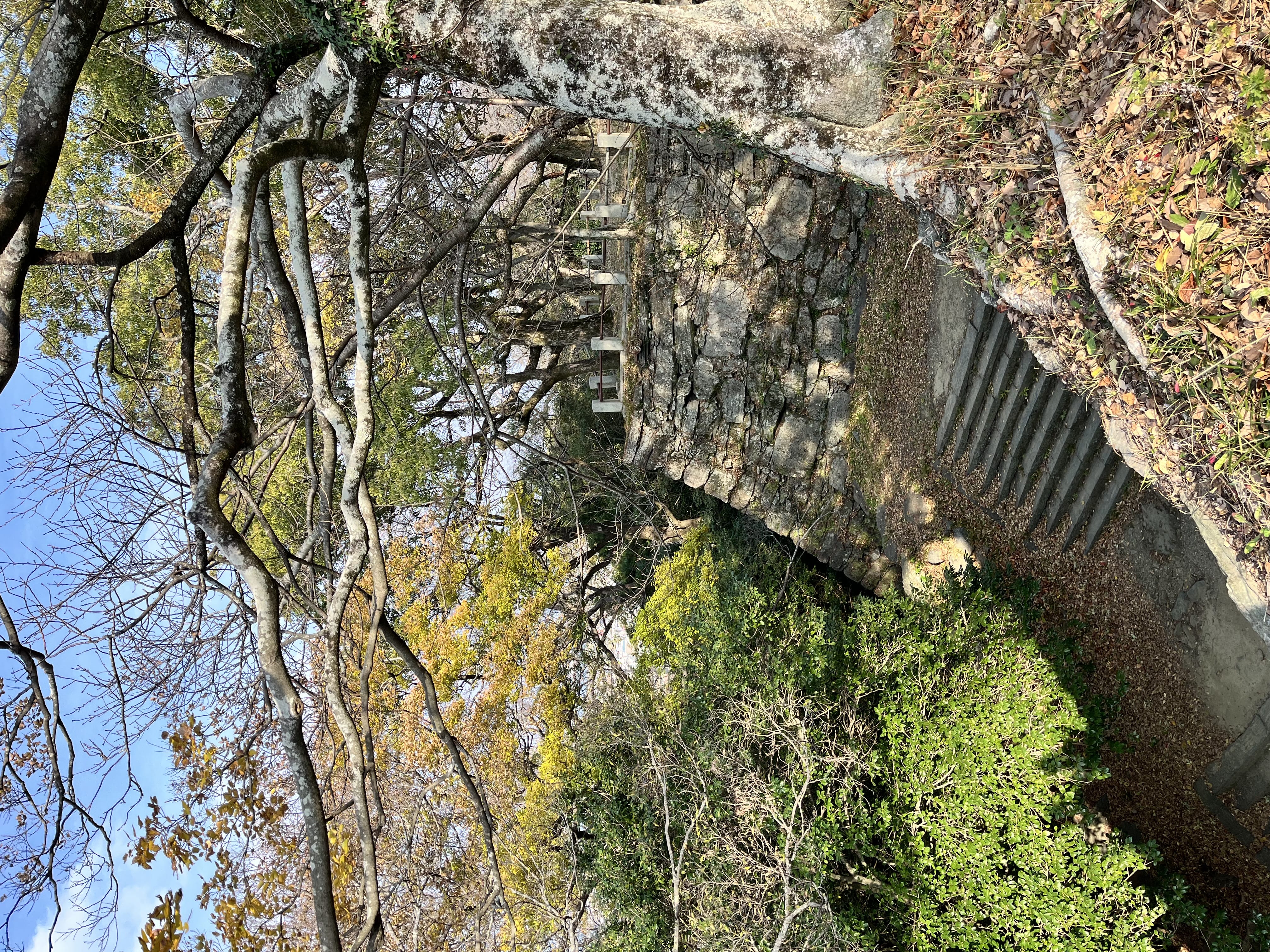 「つむぎです！」12/11(木) 10:11 | つむぎの写メ