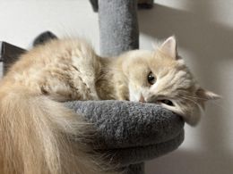 明日時間変更します