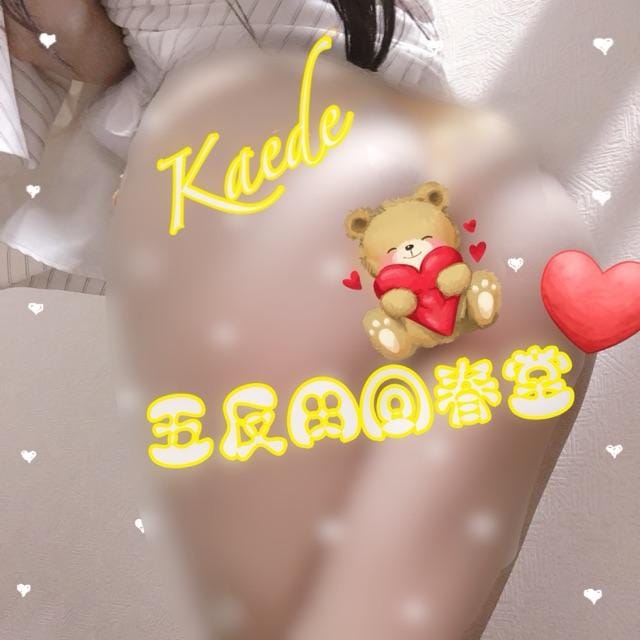 「実はじっと見」12/11(木) 16:11 | 楓-かえで-の写メ