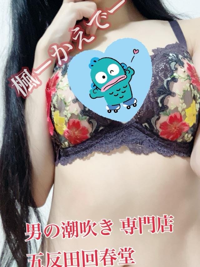 「どMもしくはSかL」12/12(金) 16:27 | 楓-かえで-の写メ