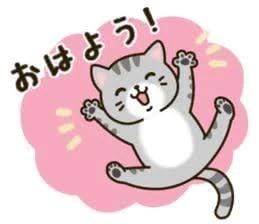 「おはよう」12/13(土) 09:16 | めい の写メ