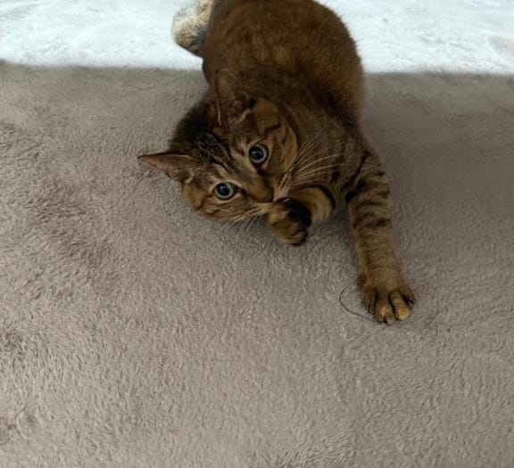 「お礼」12/13(土) 10:44 | ーハルカーの写メ日記