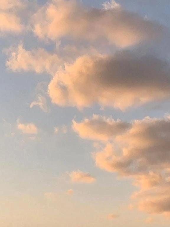 「出勤‪⸜♡⸝‍‬」12/13(土) 13:51 | 芹奈【セリナ】の写メ日記