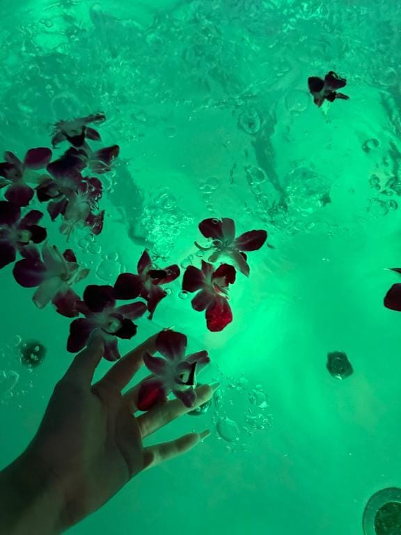 「おはよ」12/13(土) 16:26 | ねねの写メ