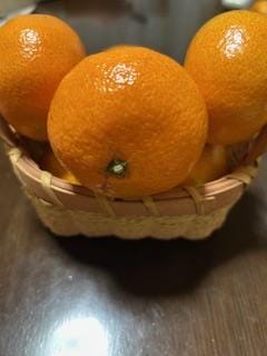 「こんにちわ」12/14(日) 11:04 | さゆりの写メ