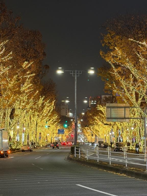 「イルミネーション✨」12/14(日) 17:52 | 凛の写メ