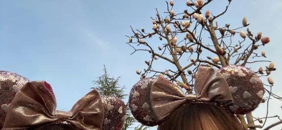 今週は火曜日❣️