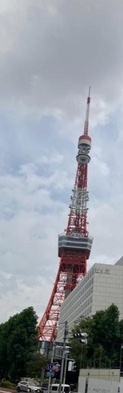 マイブーム再来•ᴗ•ꕤ*