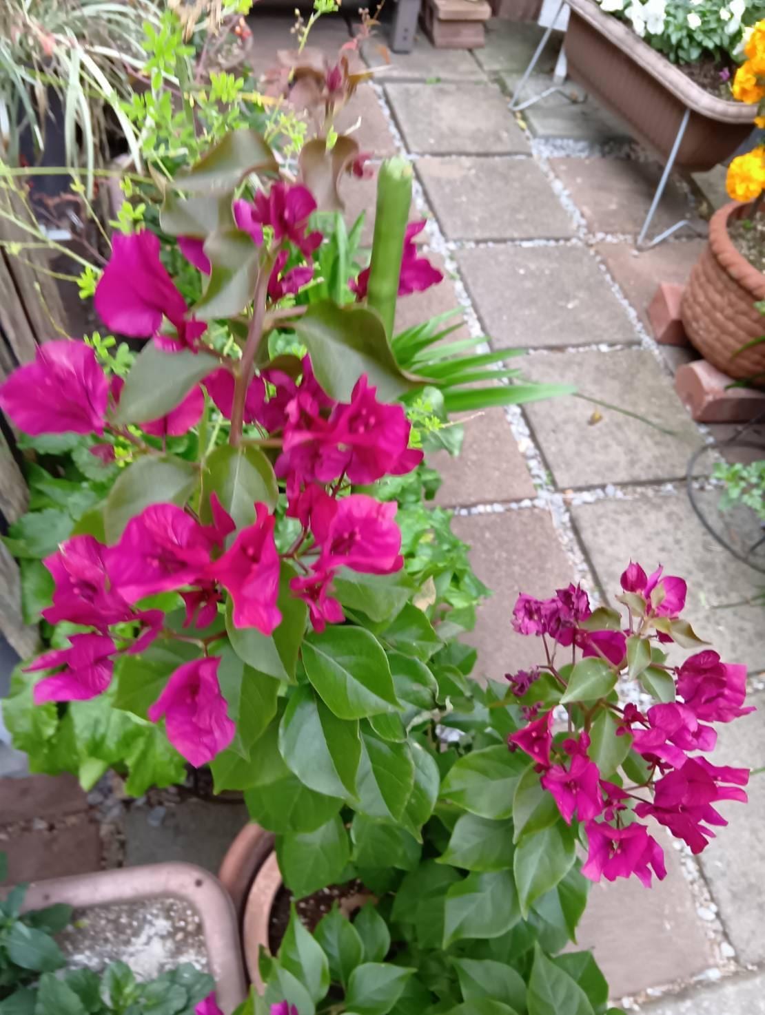 「こんにちわ」12/15(月) 11:01 | さゆりの写メ