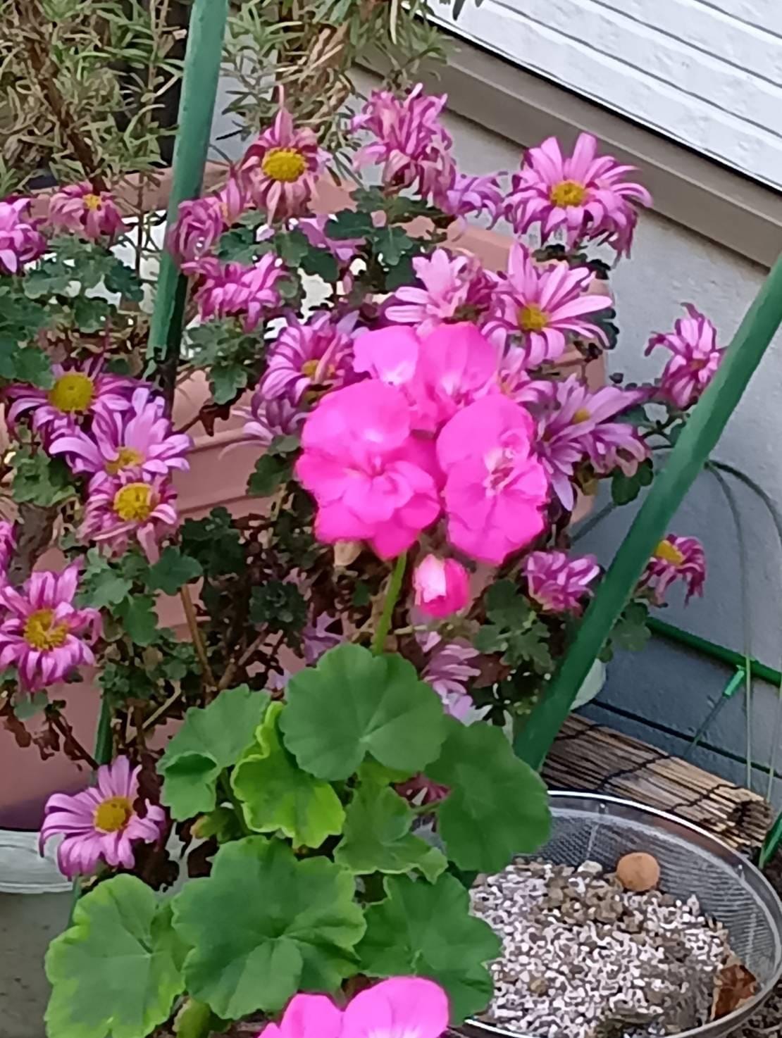 「こんにちわ」12/16(火) 11:28 | さゆりの写メ