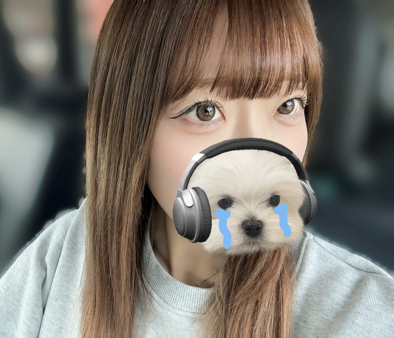 「すいですദ്ദി^^」12/16(火) 11:58 | すいの写メ