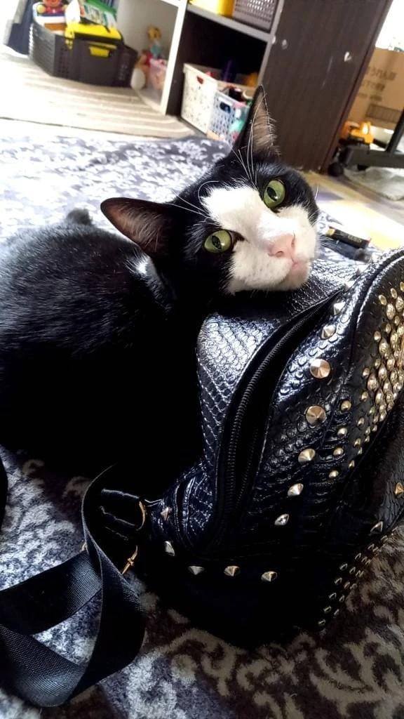 「おはにょんございます」12/16(火) 14:33 | ななの写メ