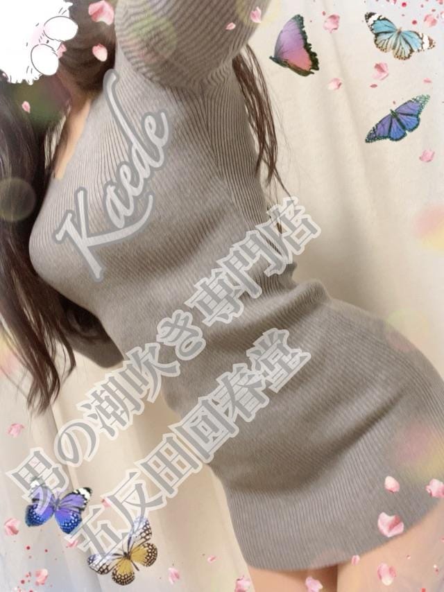 「手〇キされてきました…」12/16(火) 21:00 | 楓-かえで-の写メ