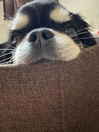 「体調復活と思いきや………」12/20(土) 01:13 | ななの写メ