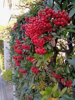 「こんにちわ」12/23(火) 10:56 | さゆりの写メ