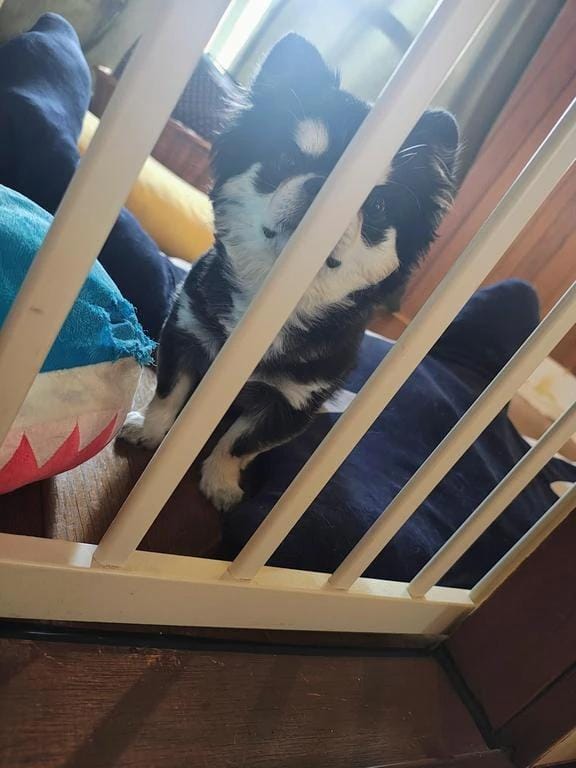 「こんにちは」12/24(水) 15:53 | ななの写メ