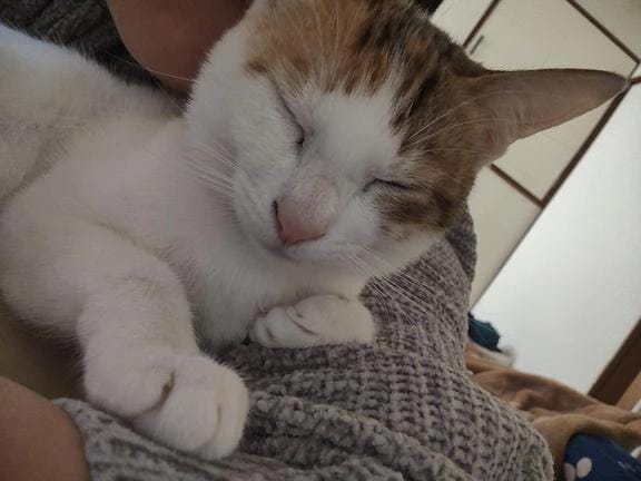 「昨日は急遽お休み」12/27(土) 12:23 | ななの写メ