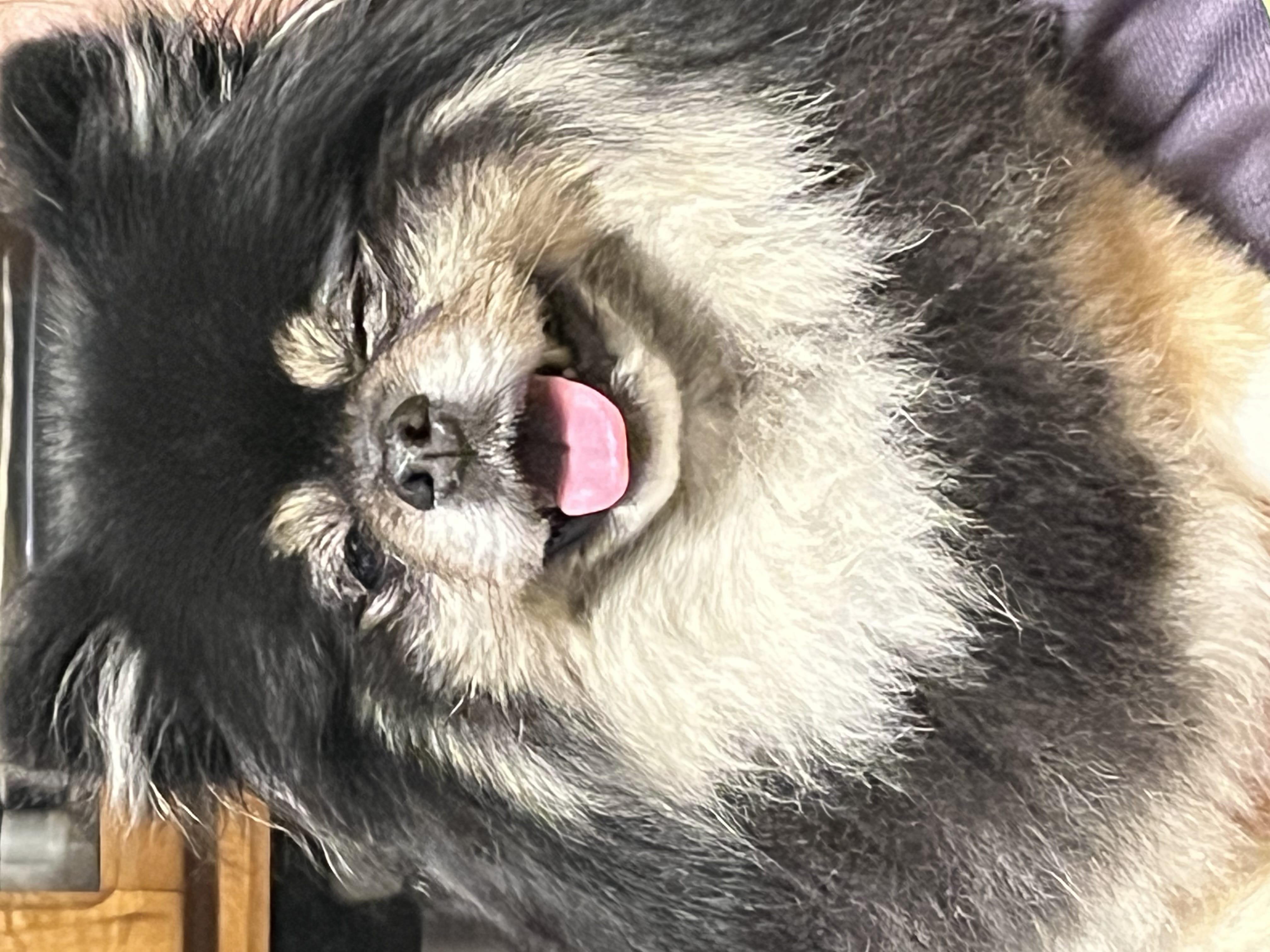 「つむぎです！」12/29(月) 11:05 | つむぎの写メ