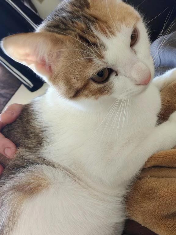 「敏感肌のお兄さん」12/29(月) 21:23 | ななの写メ