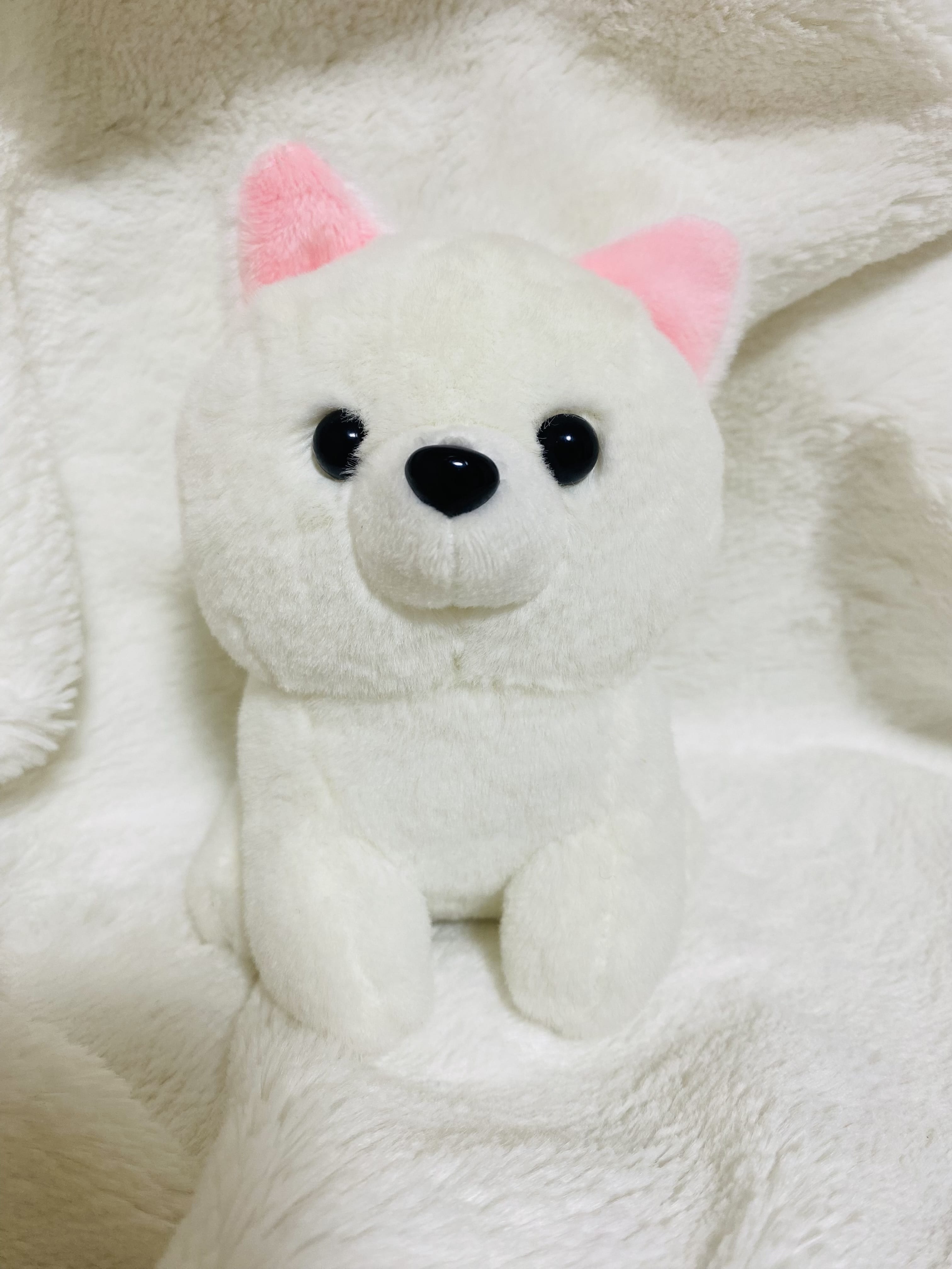 「2025.12.31」12/31(水) 19:14 | あんの写メ