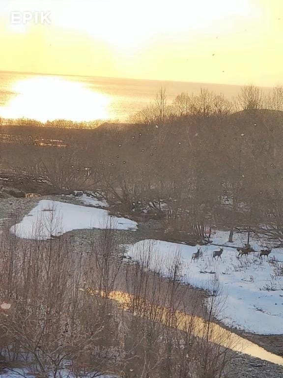 「澪mio挨拶」01/02(金) 11:04 | 澪(みお)の写メ