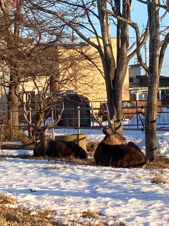 「澪mioぬわあ」01/04(日) 16:34 | 澪(みお)の写メ