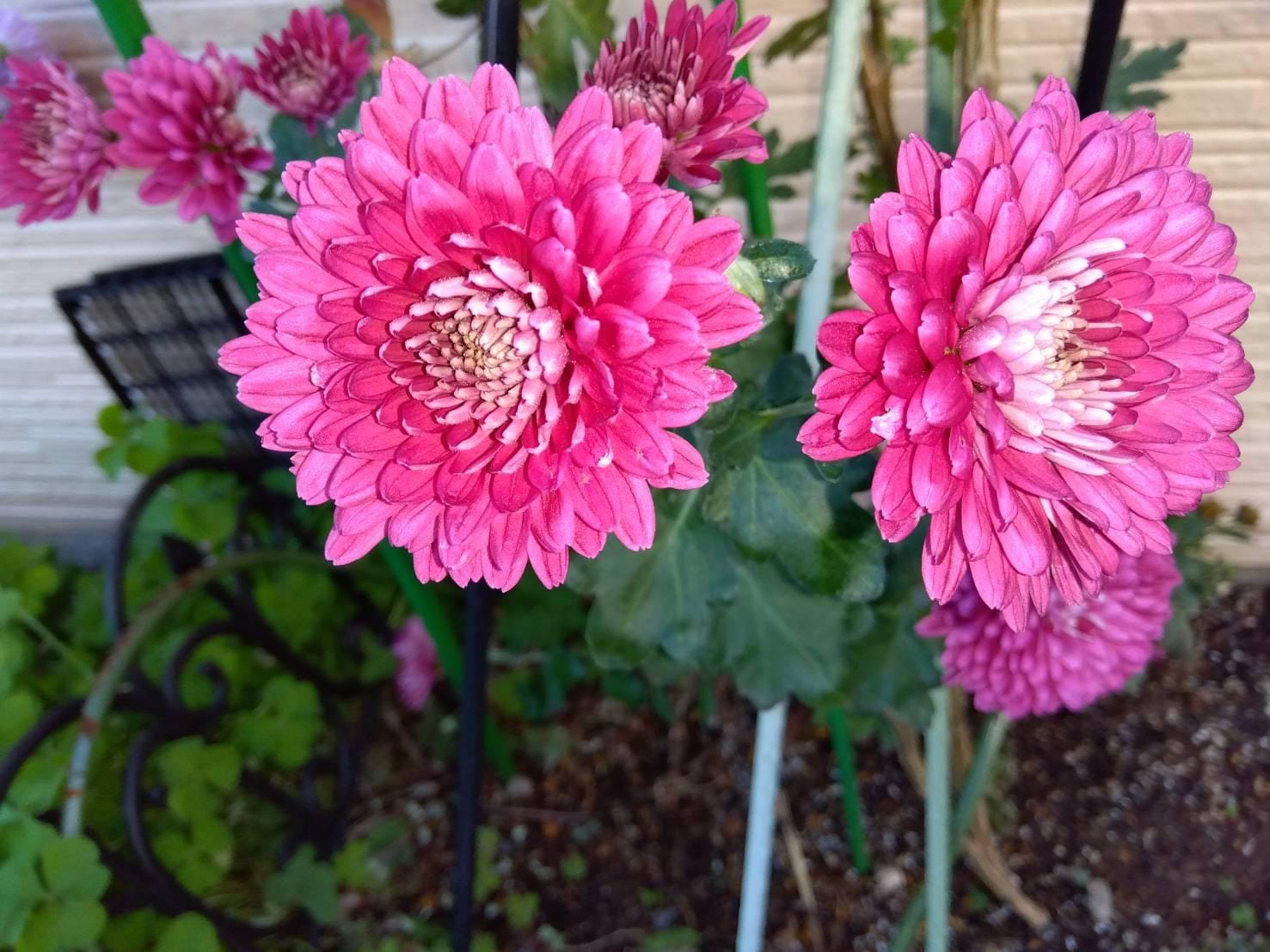 「こんにちわ」01/05(月) 11:08 | さゆりの写メ