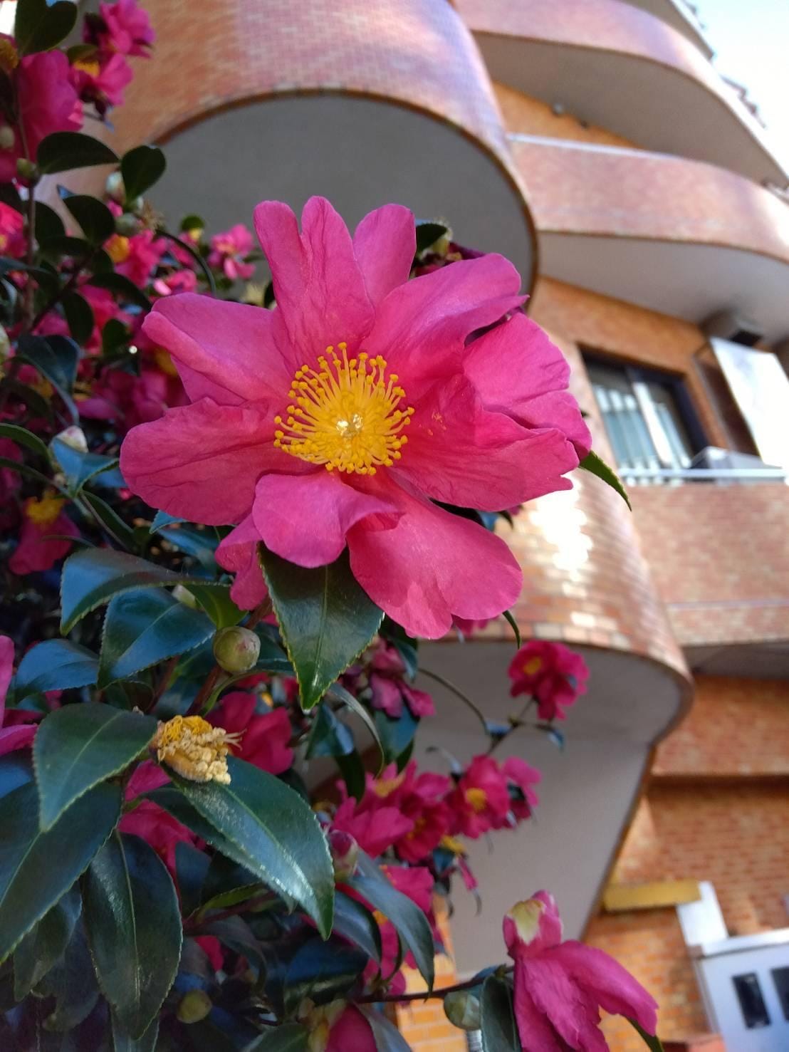 「こんにちわ」01/06(火) 11:03 | さゆりの写メ