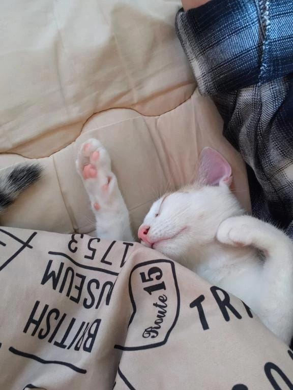 「曜日感覚狂う」01/08(木) 23:23 | ななの写メ