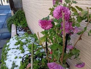 「こんにちわ」01/11(日) 10:47 | さゆりの写メ