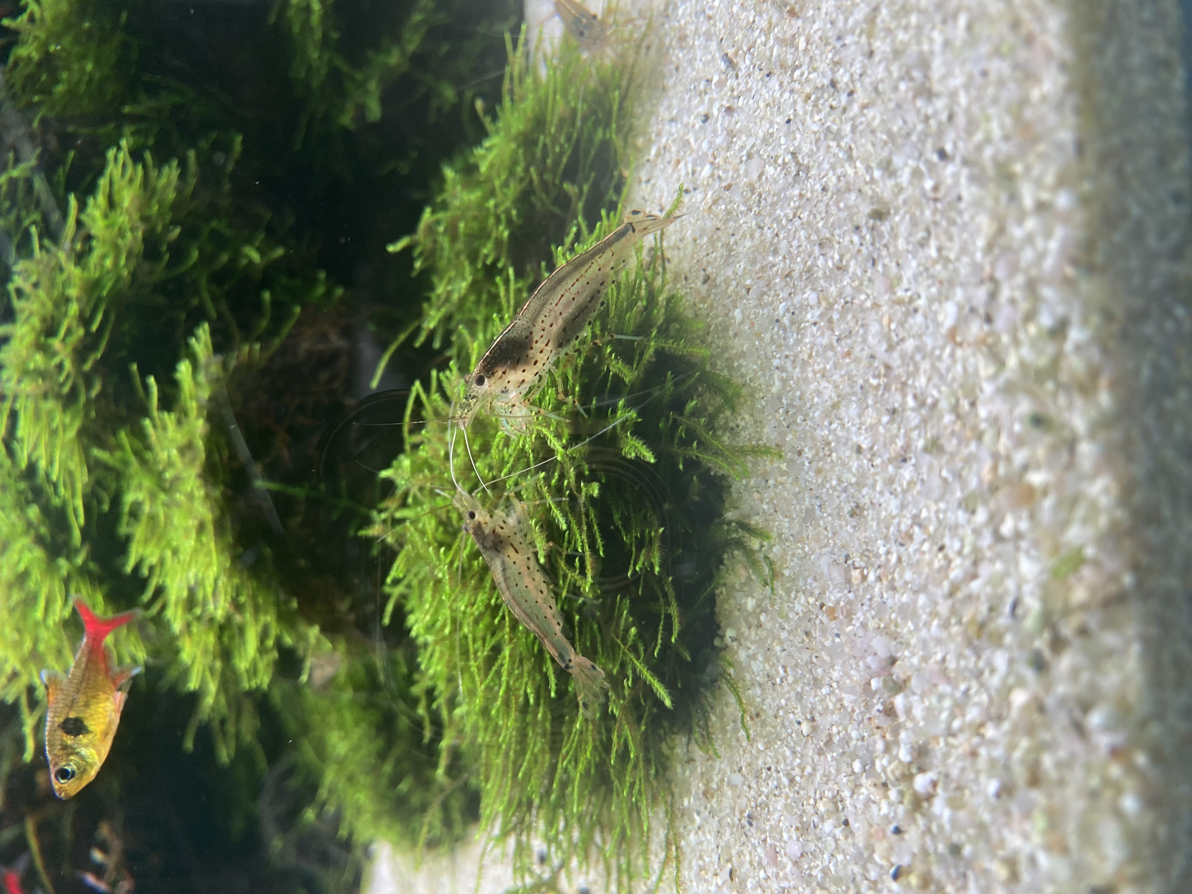 「2026.1.13」01/13(火) 10:02 | あんの写メ