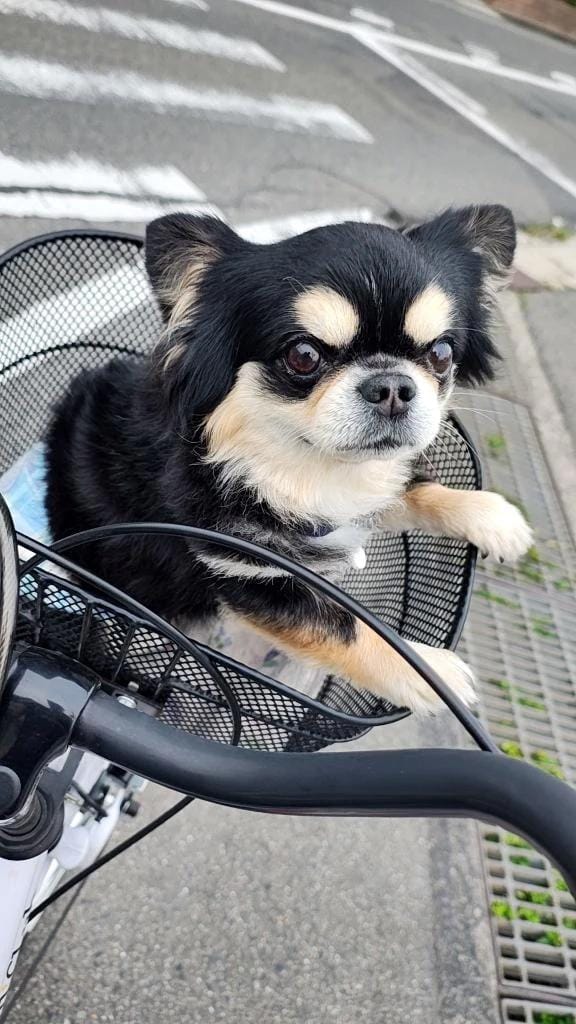 「おはようございます」01/14(水) 06:03 | ななの写メ