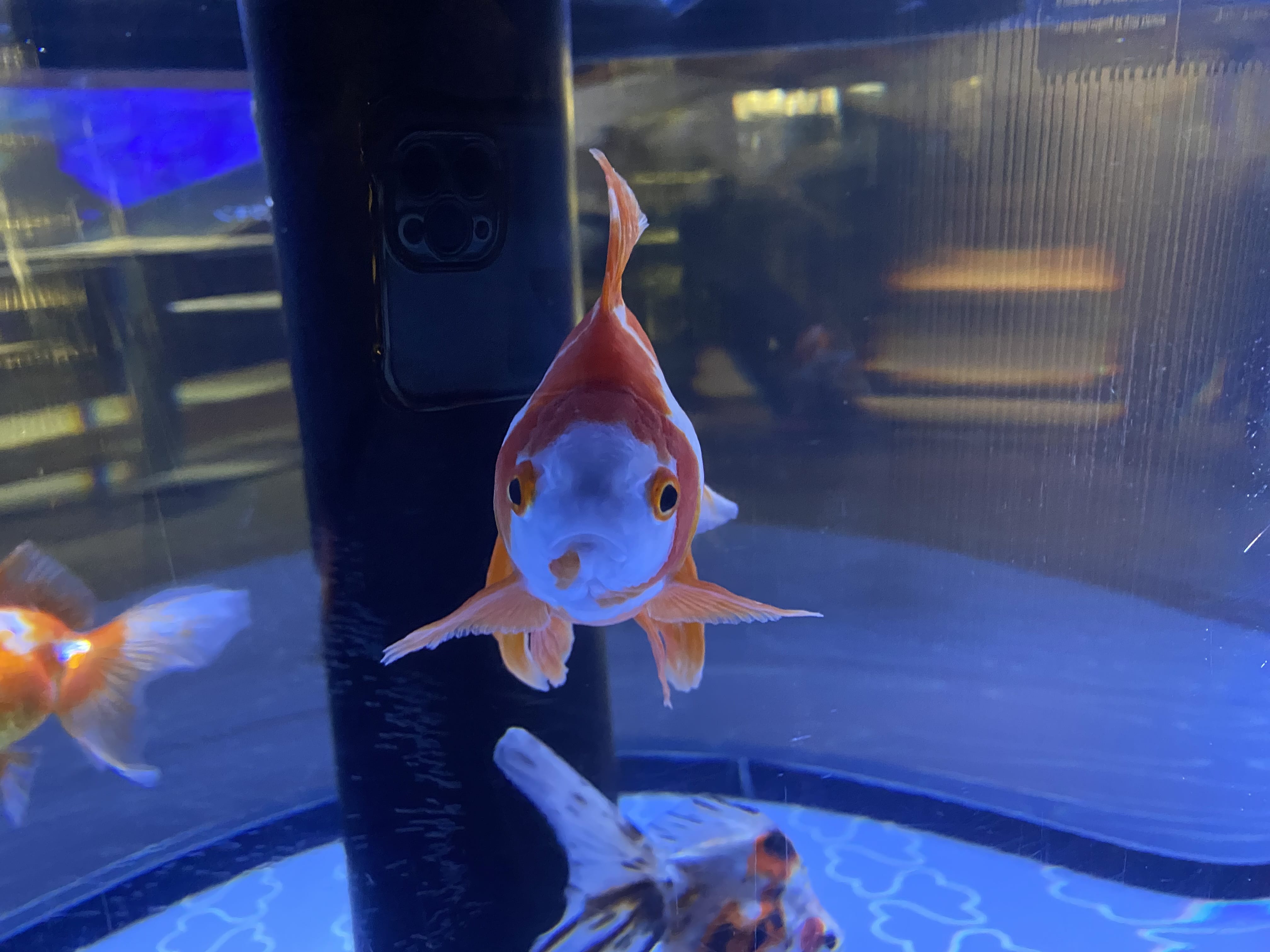 「2026.1.14」01/14(水) 09:51 | あんの写メ