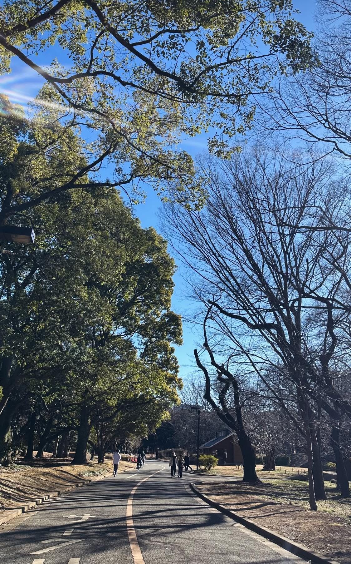 「本日11:00〜ご案内可能です」01/15(木) 07:30 | あゆの写メ