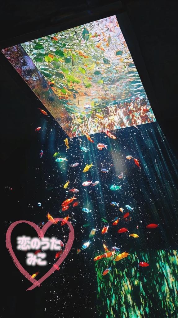 「明日夜」01/16(金) 21:16 | みこ未経験の写メ